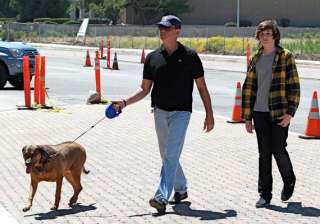 pierce brosnan supports neutering of dogs - India... pierce brosnan supports neutering of dogs - India...