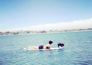 lady gaga takes dog on sea surfing - India TV lady gaga takes dog on sea surfing - India TV