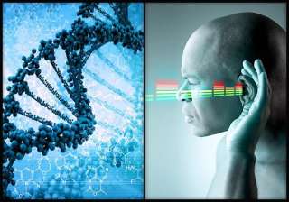 dna therapy boon for people with hearing loss see... dna therapy boon for people with hearing loss see...