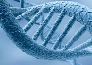 blame this gene loss for your obsession with size... blame this gene loss for your obsession with size...