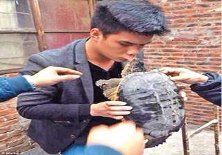 chinese man kisses turtle goodbye lands in... chinese man kisses turtle goodbye lands in...