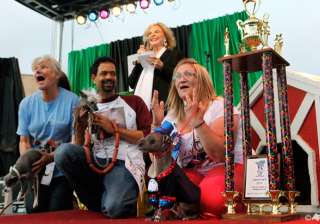 contest held for world s ugliest dog in... contest held for world s ugliest dog in...