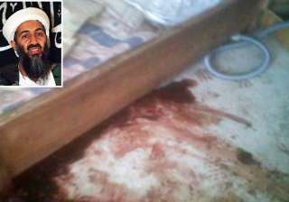 details released on osama dna match nyt - India TV details released on osama dna match nyt - India TV