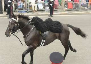 fidgety horse throws off guardsman heads straight... fidgety horse throws off guardsman heads straight...