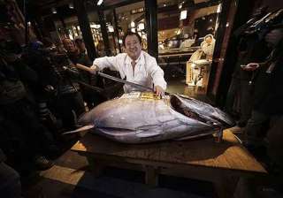 japan s 4.5 million yen tuna fish - India TV japan s 4.5 million yen tuna fish - India TV