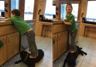 pic of sarah palin s son standing on dog draws... pic of sarah palin s son standing on dog draws...
