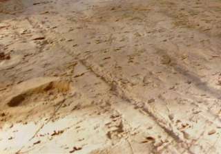 drones provide view of dinosaur footprints in... drones provide view of dinosaur footprints in...