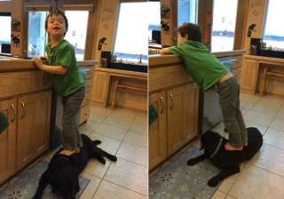 sarah palin draws flak for fb photos showing son... sarah palin draws flak for fb photos showing son...