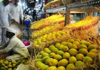 eu lifts ban on import of mangoes from india -... eu lifts ban on import of mangoes from india -...
