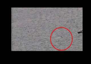 plane crashes in bahamas passengers cling to tail... plane crashes in bahamas passengers cling to tail...