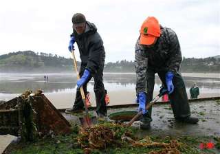 invasive species ride tsunami debris to us shore... invasive species ride tsunami debris to us shore...