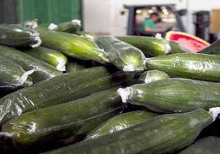 poisoned spanish cucumbers kill 9 nearly 300 ill... poisoned spanish cucumbers kill 9 nearly 300 ill...