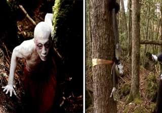 unexplained mystery of japan s forest of death -... unexplained mystery of japan s forest of death -...