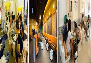 watch in pics trendy toilet themed restaurants -... watch in pics trendy toilet themed restaurants -...