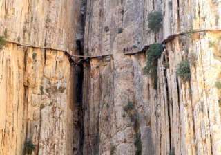 watch in pics the most dangerous pathway in the... watch in pics the most dangerous pathway in the...