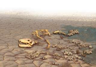 world on the verge of mass extinction - India TV world on the verge of mass extinction - India TV
