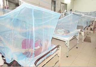 523 people test dengue positive in odisha - India... 523 people test dengue positive in odisha - India...