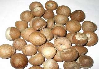 28 years on betel nut pulled out of man s lung -... 28 years on betel nut pulled out of man s lung -...