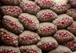 centre to ask states to check onion hoarding at... centre to ask states to check onion hoarding at...