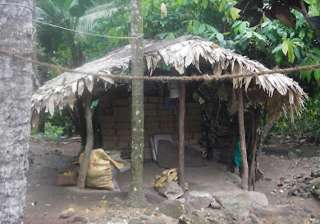 daughter dumps 90 year old mother in goat shed in... daughter dumps 90 year old mother in goat shed in...