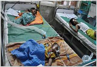 encephalitis claims 13 more lives toll climbs to... encephalitis claims 13 more lives toll climbs to...
