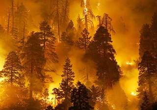 forest fires trigger landmine explosions along... forest fires trigger landmine explosions along...