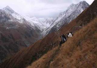 great himalayan national park gets unesco world... great himalayan national park gets unesco world...