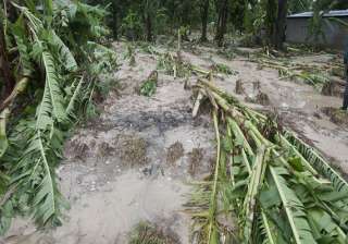 heavy rains damage crops and houses in andhra... heavy rains damage crops and houses in andhra...
