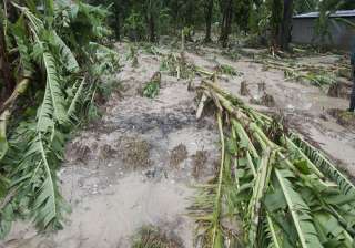 heavy rains lash andhra damage crops - India TV heavy rains lash andhra damage crops - India TV