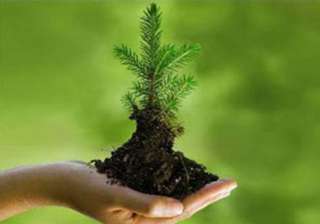 18 jharkhand villages identified under green... 18 jharkhand villages identified under green...