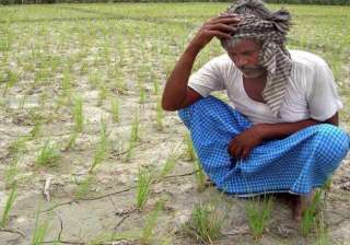 weather god ruins farmers in punjab haryana -... weather god ruins farmers in punjab haryana -...