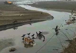 104 bodies found in ganga probe ordered - India TV 104 bodies found in ganga probe ordered - India TV