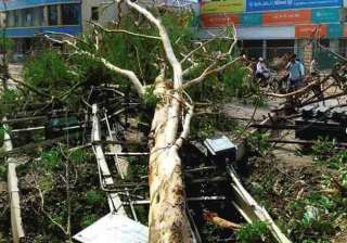 storm toll rises to 54 in bihar - India TV storm toll rises to 54 in bihar - India TV