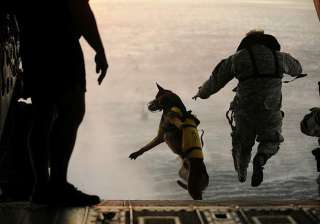 american canine officers in india for obama... american canine officers in india for obama...
