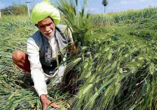 3 farmers die of cardiac arrest over crop loss in... 3 farmers die of cardiac arrest over crop loss in...