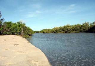 ngt asks west bengal govt to demolish illegal... ngt asks west bengal govt to demolish illegal...