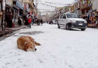 leh coldest at minus 17 srinagar shivers at minus... leh coldest at minus 17 srinagar shivers at minus...