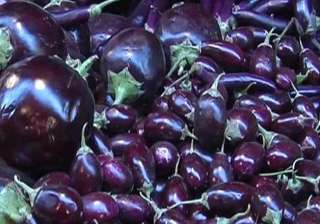 maharashtra gives nod for field trial of 5... maharashtra gives nod for field trial of 5...