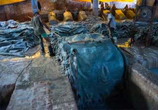 stop polluting ganga or face shut down national... stop polluting ganga or face shut down national...