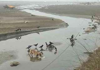 30 bodies found in canal in unnao - India TV 30 bodies found in canal in unnao - India TV
