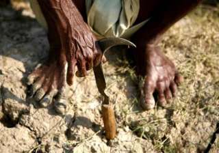 rain and hailstorms hit north india 30 farmers... rain and hailstorms hit north india 30 farmers...