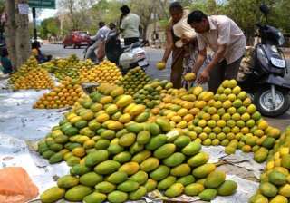 after unseasonal rains aam set to be a vip this... after unseasonal rains aam set to be a vip this...