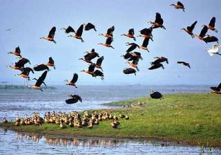 government to notify more than 60 eco sensitive... government to notify more than 60 eco sensitive...