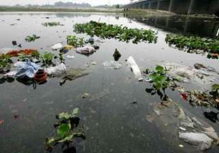 environmentalists welcome green court ruling on... environmentalists welcome green court ruling on...
