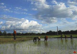 india to receive normal monsoon says deshmukh -... india to receive normal monsoon says deshmukh -...