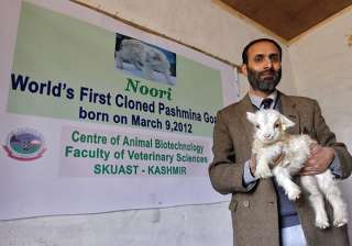 j k govt to honour scientists for cloning... j k govt to honour scientists for cloning...