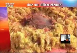 mp villagers carry out funeral procession of... mp villagers carry out funeral procession of...