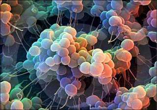 ncdc orders superbug probe in drinking water -... ncdc orders superbug probe in drinking water -...