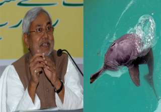 nitish wants to set up dolphin research centre in... nitish wants to set up dolphin research centre in...