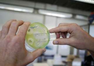 no need to panic over superbug in delhi drinking... no need to panic over superbug in delhi drinking...